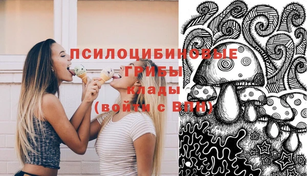 крисы Волоколамск
