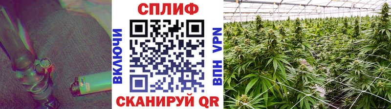 Бошки марихуана конопля KRAKEN сайт Дзержинский купить наркотики сайты